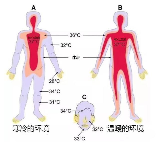 便攜式熱成像測溫儀