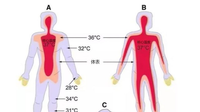 工業(yè)紅外測(cè)溫儀-便攜式熱成像測(cè)溫儀能用于體溫檢測(cè)嗎？